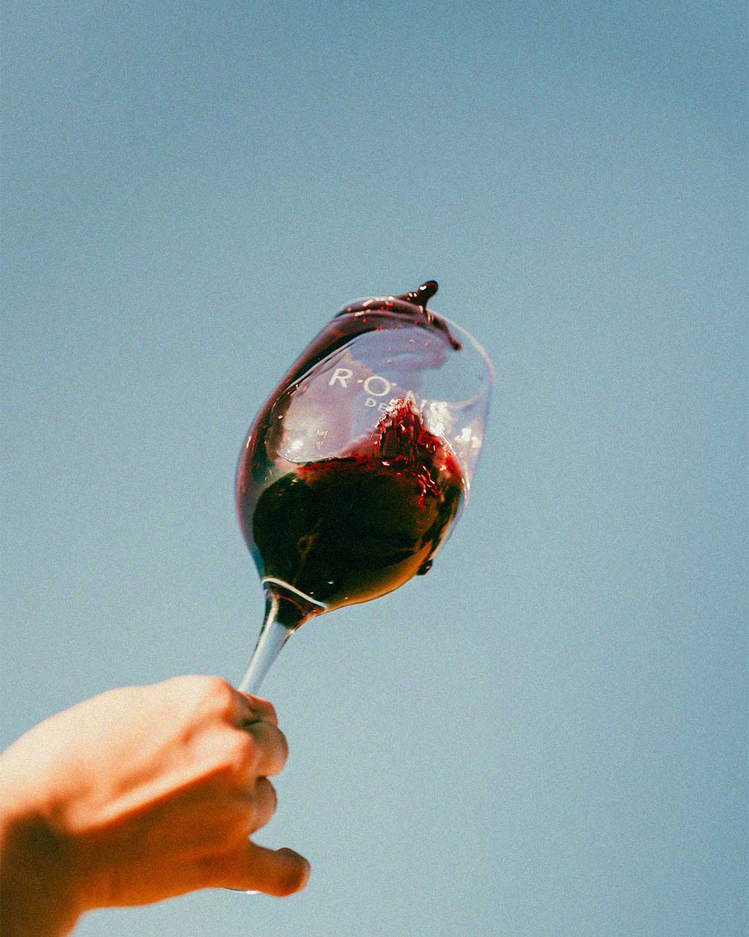 Valle de Guadalupe wines