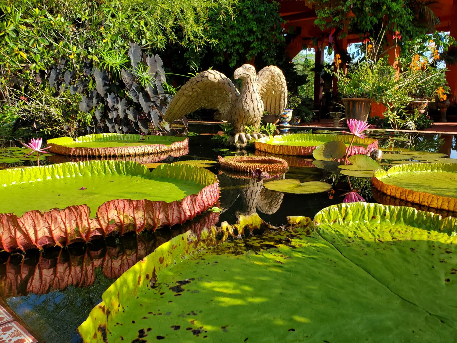 A Spiritual Encounter in the Botanical Gardens