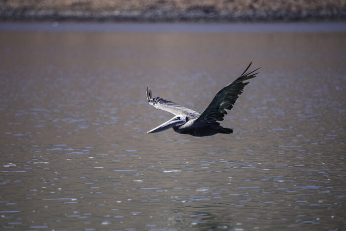 Sol y playa en el Caribe mexicano