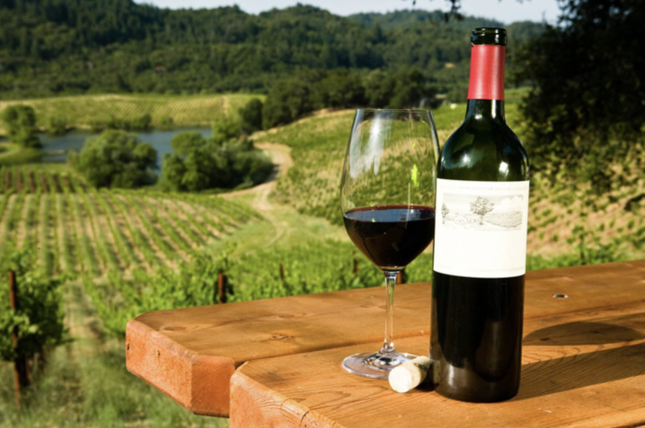 Valle de Guadalupe wines