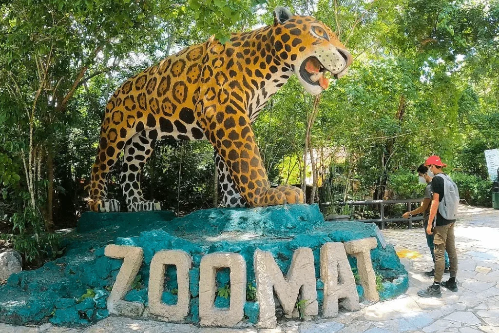 Zoomat 