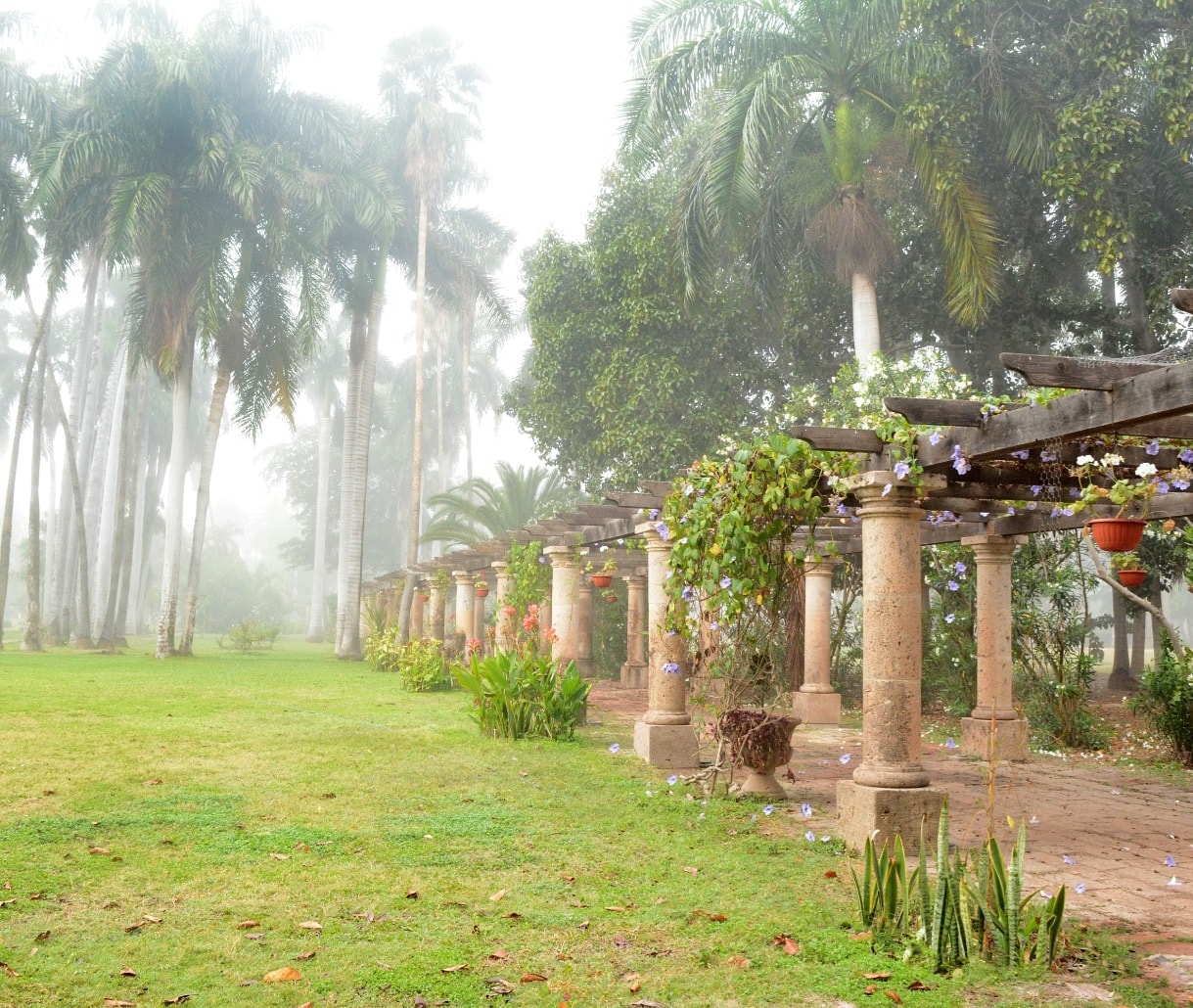 Jardín Botánico Benjamin F. Johnston