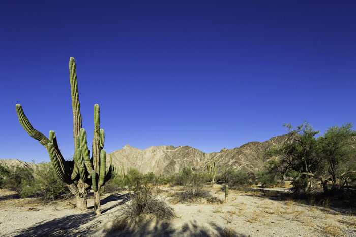 Sol y playa en el Caribe mexicano
