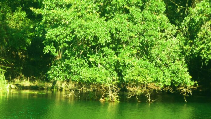 Sol y playa en el Caribe mexicano