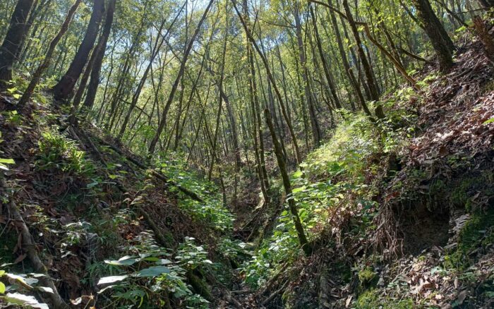Sol y playa en el Caribe mexicano