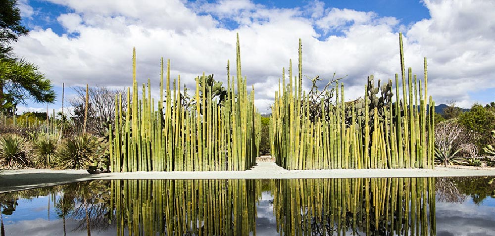 Ethnobotanical Garden