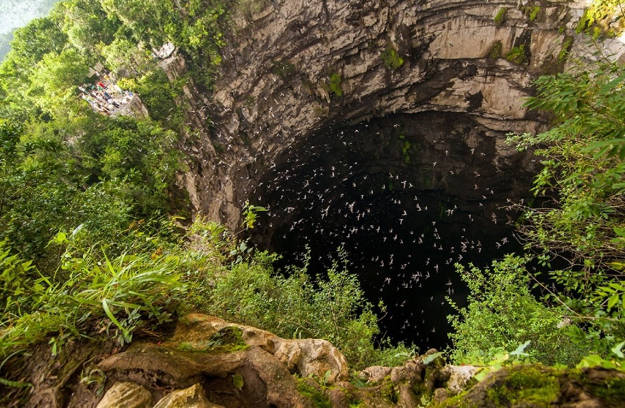 Cave of Swallows