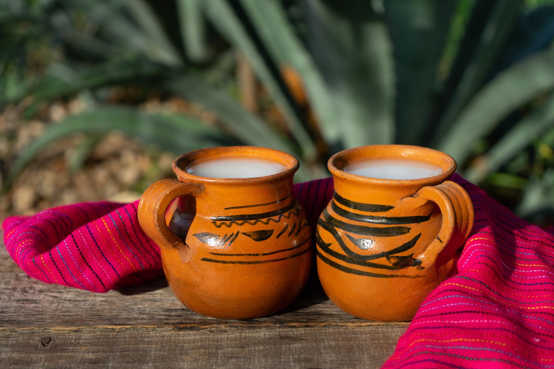 Pulque