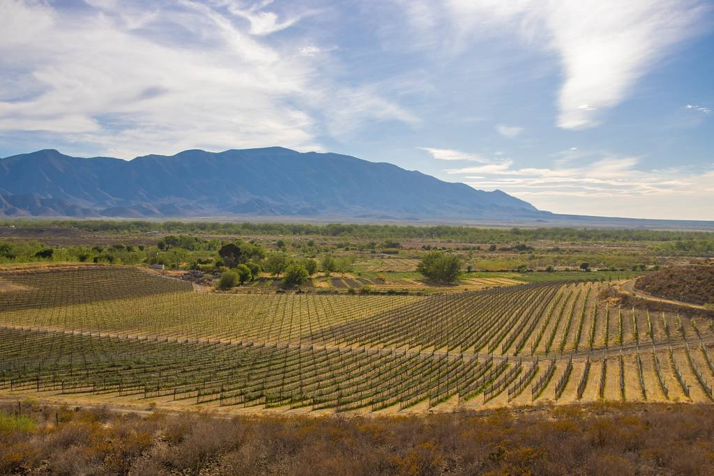Recorrer las nogaleras y viñedos del valle