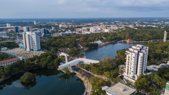 Mexico’s Palo de Rosa Season