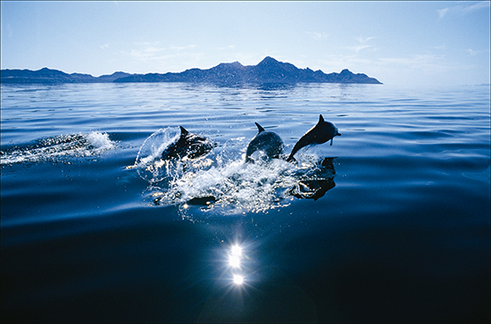 Sailing Through the Islands of Loreto Bay National Park