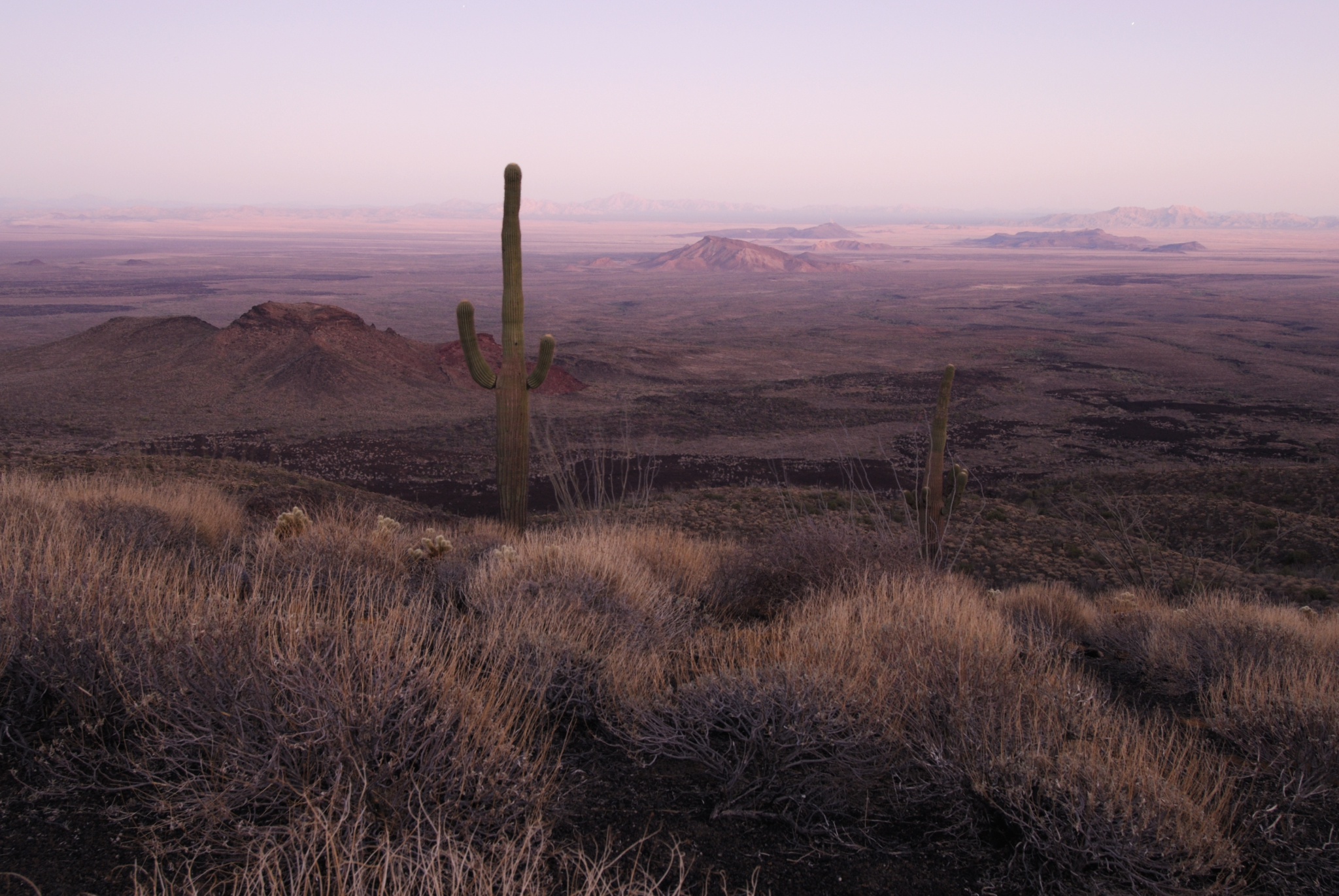 Insider's Perspective