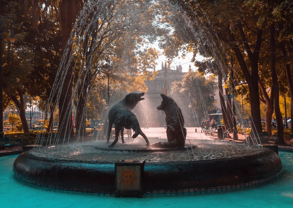 Coyoacán: The Cultural and Bohemian Soul of Southern CDMX