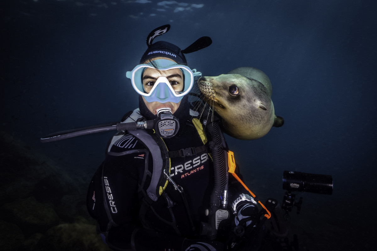 Swimming with Sea Lions in the Sea of Cortez