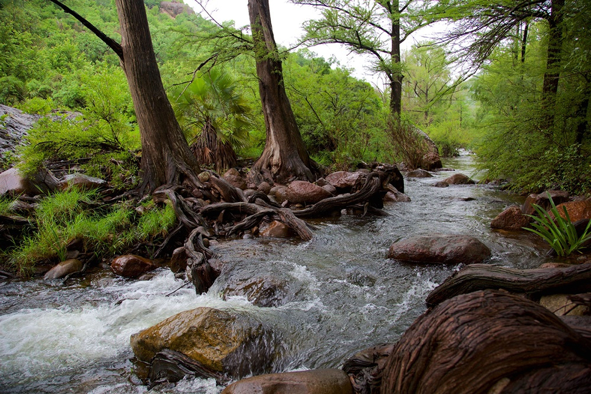 Spend an Afternoon at the Cuchujaqui River