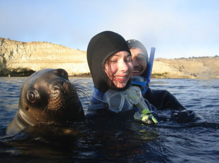 Swimming with Sea Lions in the Sea of Cortez