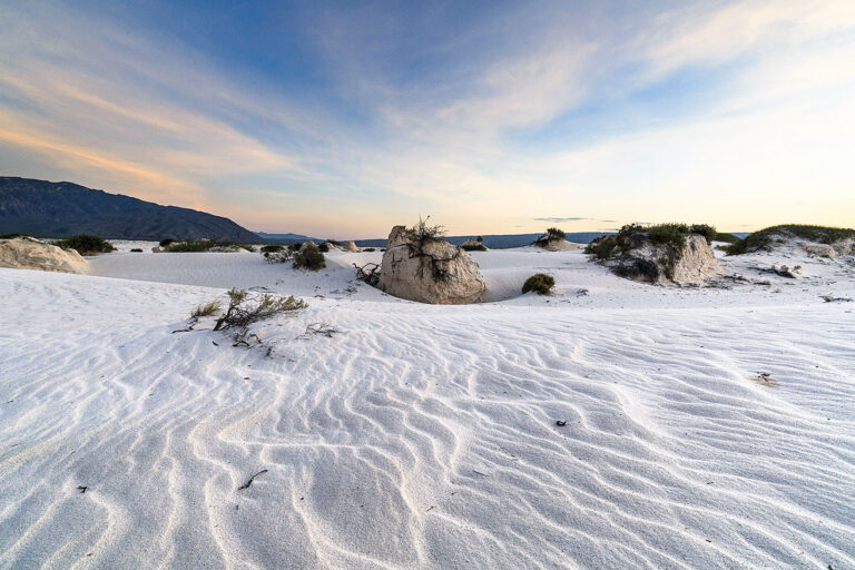 Cuatro Cienegas