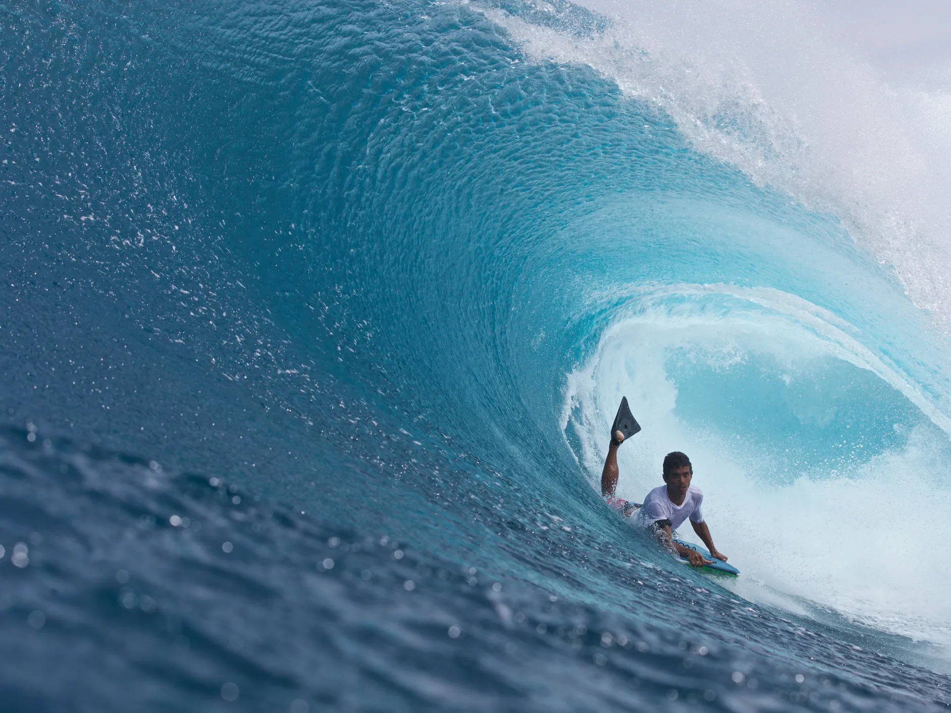 Vive la experiencia como local